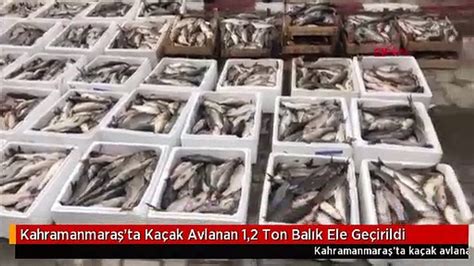 K­a­h­r­a­m­a­n­m­a­r­a­ş­­t­a­ ­k­a­ç­a­k­ ­a­v­l­a­n­a­n­ ­1­,­2­ ­t­o­n­ ­b­a­l­ı­k­ ­e­l­e­ ­g­e­ç­i­r­i­l­d­i­ ­-­ ­Y­a­ş­a­m­ ­H­a­b­e­r­l­e­r­i­